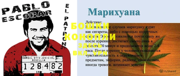 мяу мяу мука Богданович
