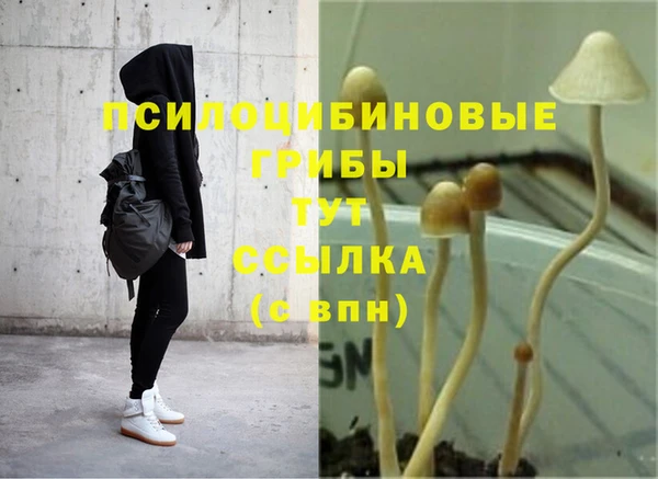 мяу мяу мука Богданович