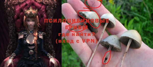 мяу мяу мука Богданович