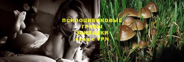 винт Богородицк