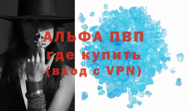 мяу мяу мука Богданович